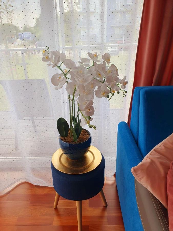 Apartament Comfort I Kołobrzeg Esterno foto